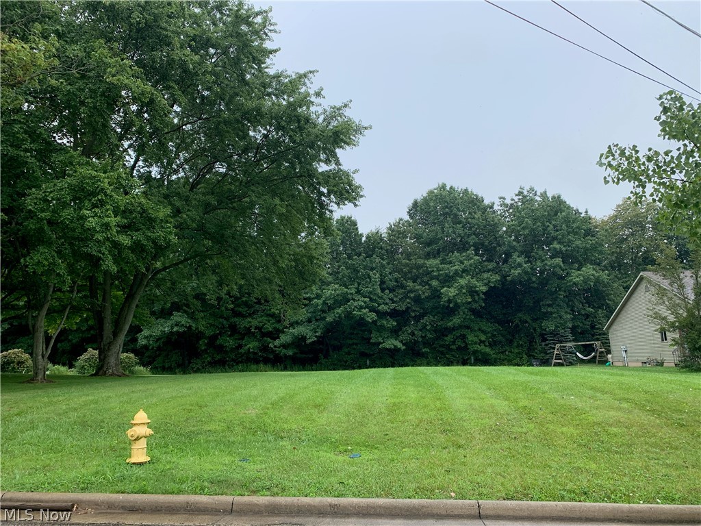 0 Emalene Road Wooster, OH 44691 - Photo 1 of 11