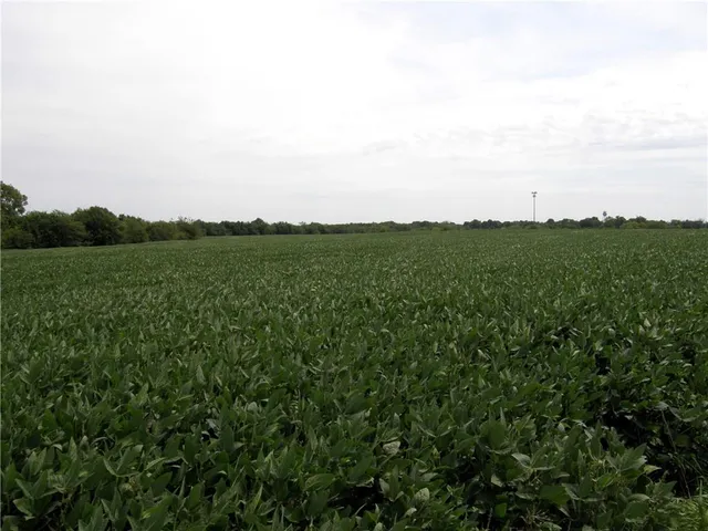 $1,400,000 | 37200 West Us-56 Highway, Edgerton, KS 66021