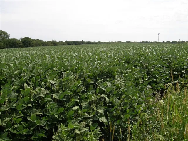 $1,400,000 | 37200 West Us-56 Highway, Edgerton, KS 66021