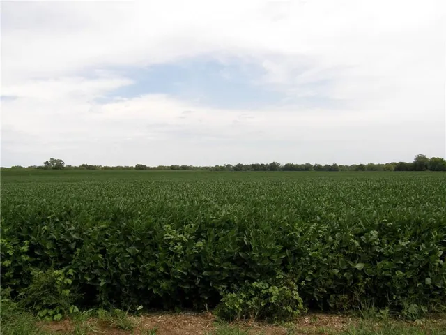 $1,400,000 | 37200 West Us-56 Highway, Edgerton, KS 66021
