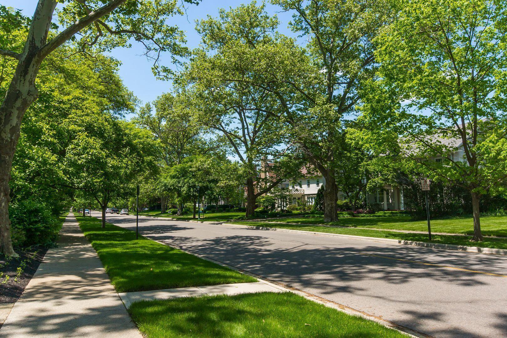 726 South Cassingham Road Columbus, OH 43209 - Photo 55 of 55 BEAUTIFUL BEXLEY TREE-LINED STREET