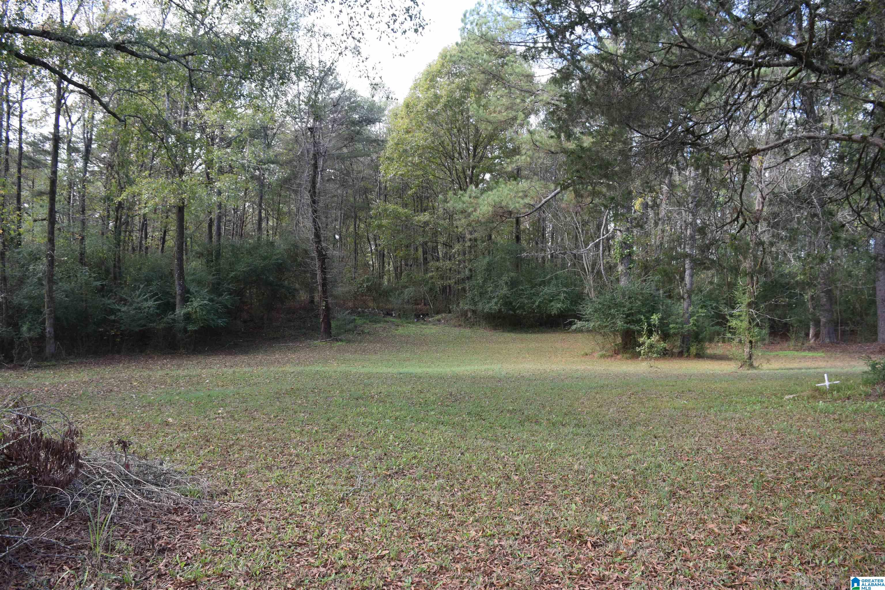 13930 B T Short Cutoff Road Vance, AL 35490 - Photo 6 of 34