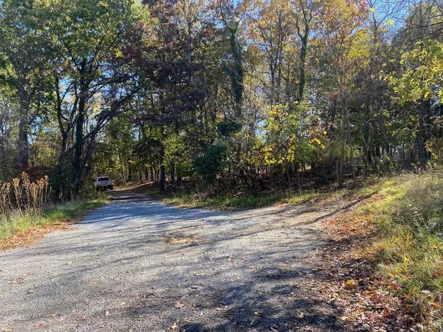 a view of a yard with a tree