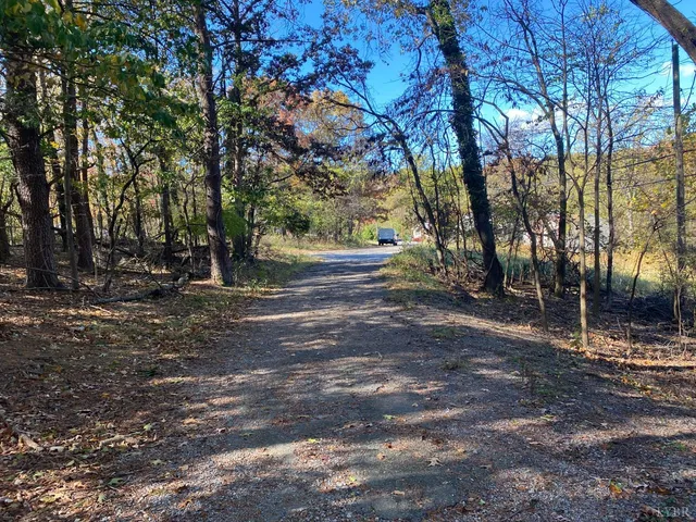 a view of dirt yard with a large tree
