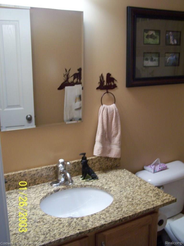 2693 Tozer Road North Branch, MI 48461 - Photo 26 of 55 291.jpg