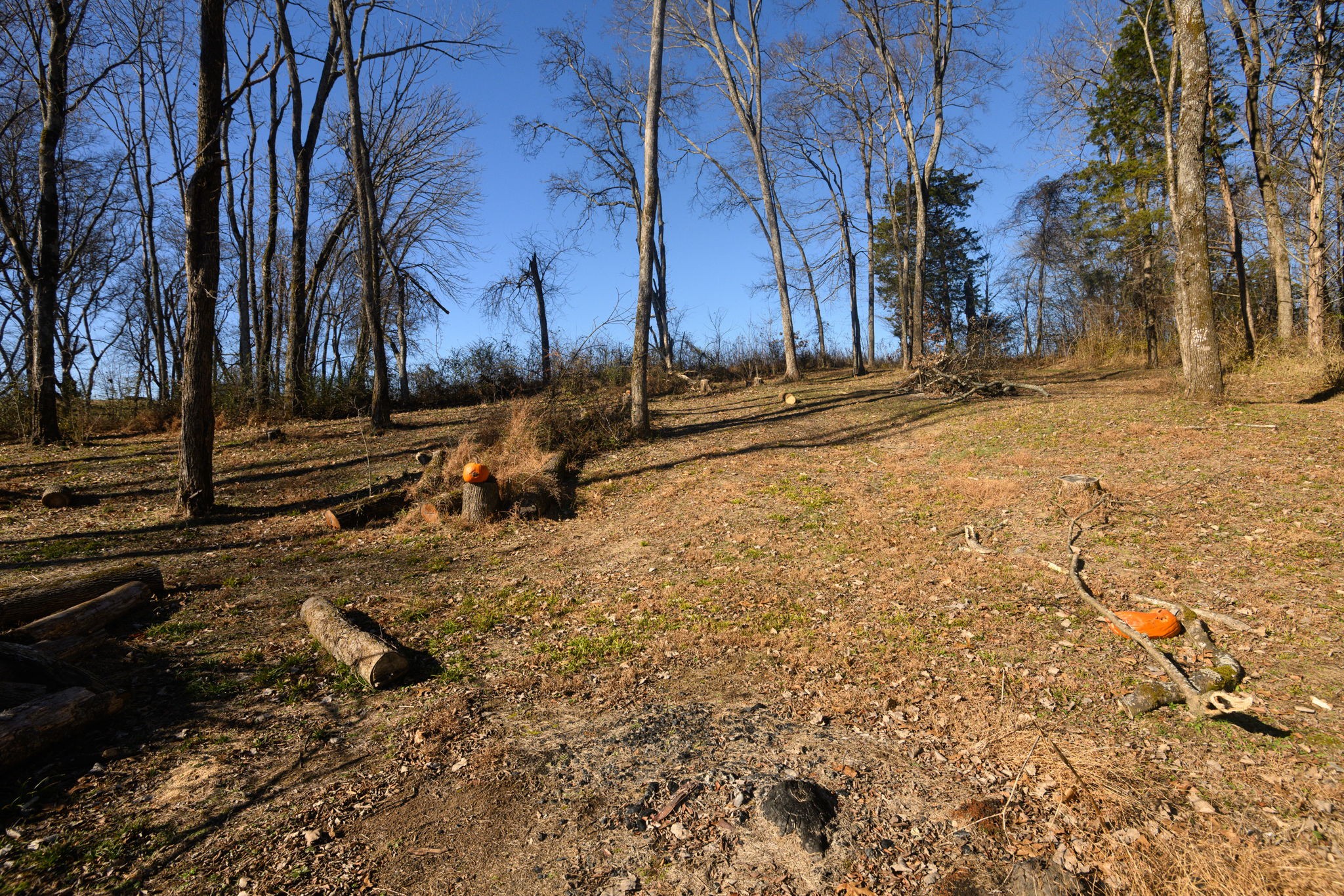 720 Armstrong Road Castalian Springs, TN 37031 - Photo 41 of 45 a view of snow on the side of street