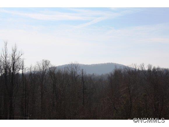 265 Thunder Ridge Road Saluda, NC 28773 - Photo 23 of 23 Gallery Image 23