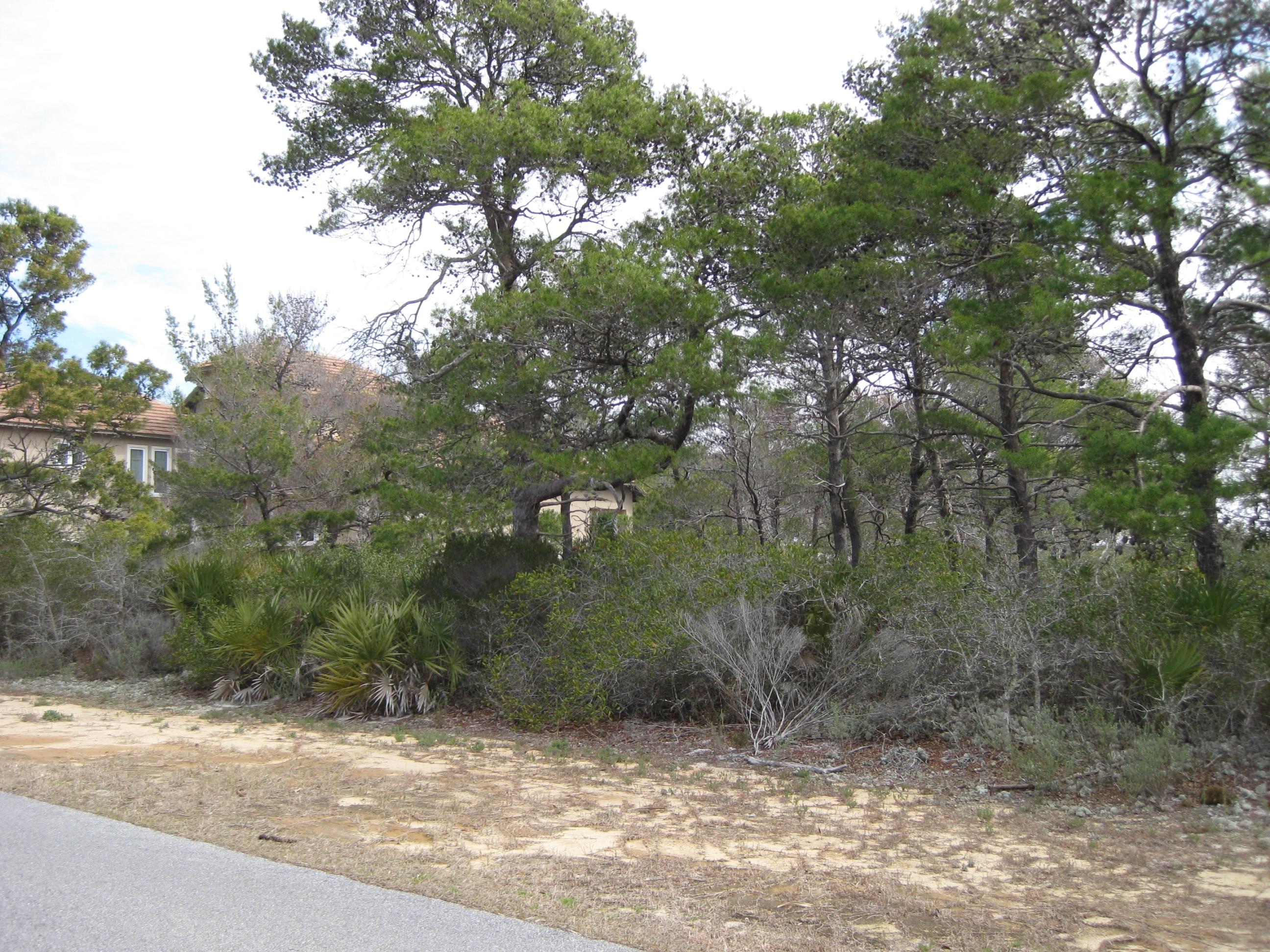 Lot 7-bk Lot 7-bk C Ridge Road Santa Rosa Beach, FL 32459 - Photo 3 of 6 a view of a field with a tree