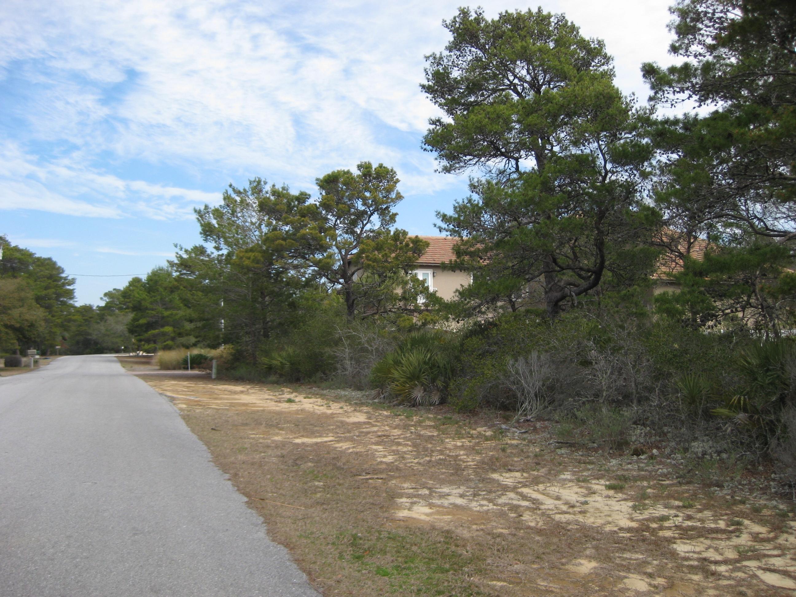 Lot 7-bk Lot 7-bk C Ridge Road Santa Rosa Beach, FL 32459 - Photo 4 of 6 a view of a pathway both side of yard