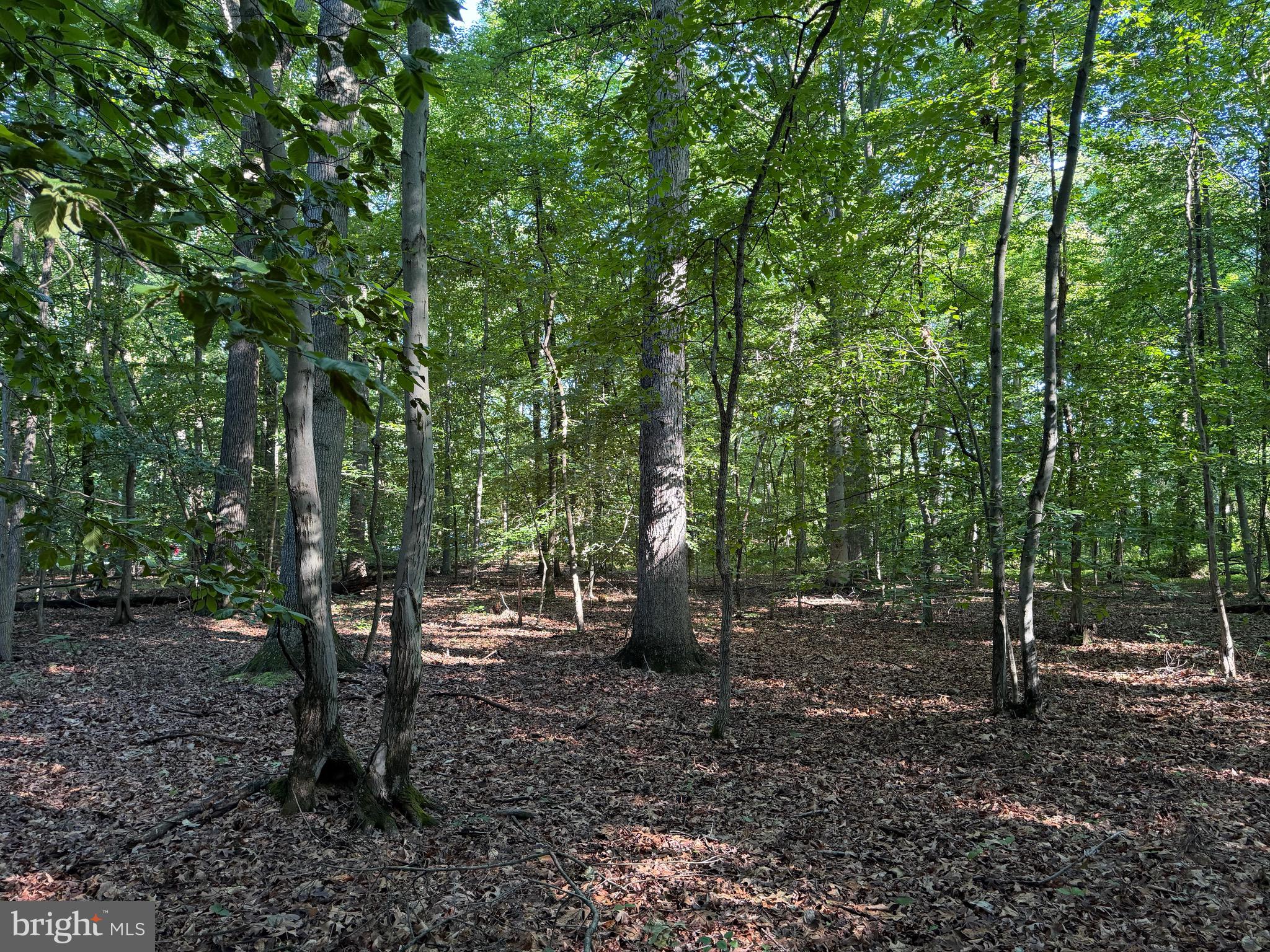 0 Rock Springs Road Conowingo, MD 21918 - Photo 62 of 79