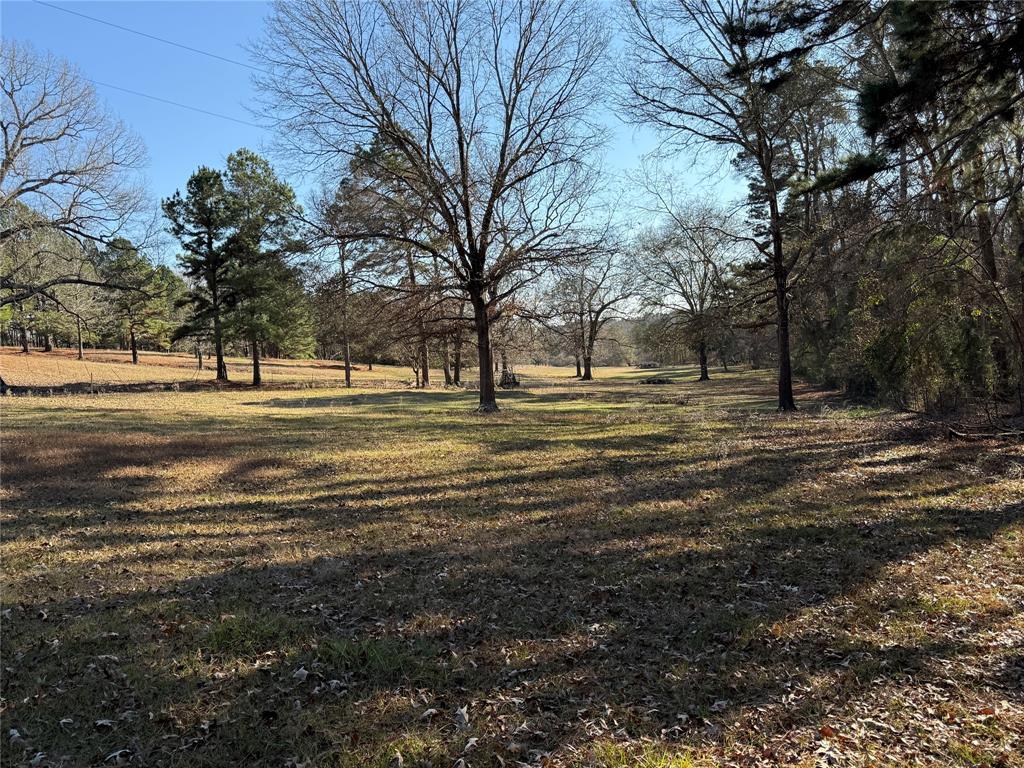 9999 Fm 2015 Tyler, TX 75708 - Photo 2 of 7 a big yard with large trees