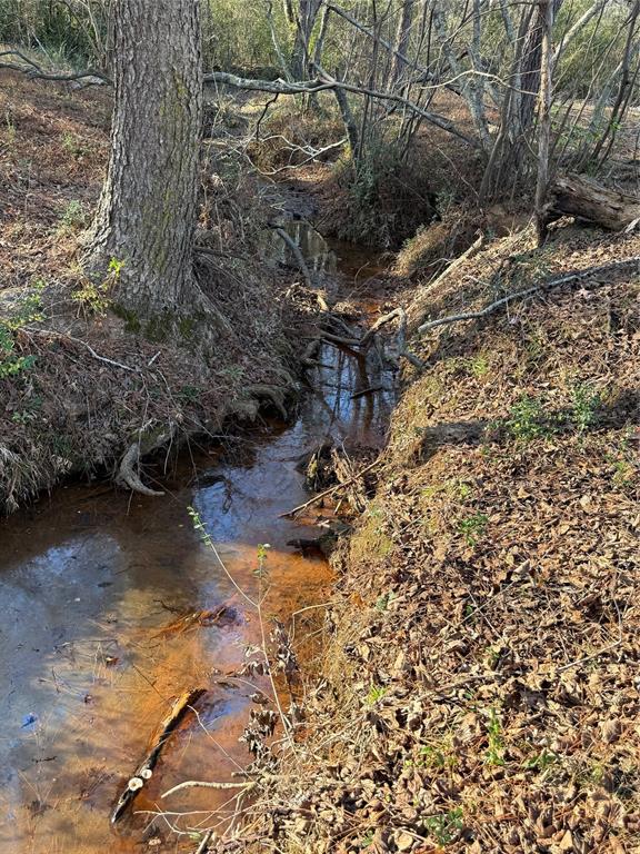 9999 Fm 2015 Tyler, TX 75708 - Photo 5 of 7 a view of a yard with plants and large trees