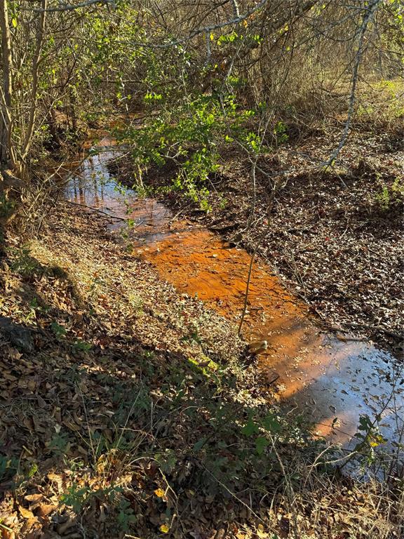 9999 Fm 2015 Tyler, TX 75708 - Photo 6 of 7 a view of yard