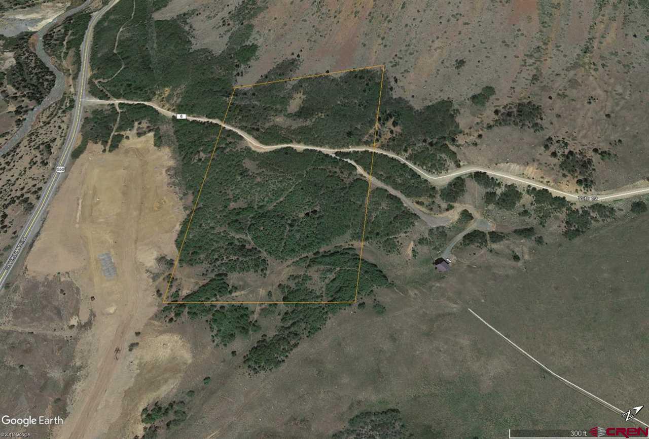 6 County Road Silverton, CO 81433 - Photo 2 of 22 a picture of a plant