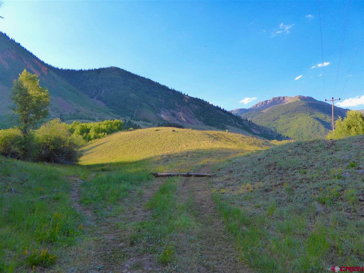 6 County Road Silverton, CO 81433 - Photo 11 of 22 a view of an outdoor space and a yard