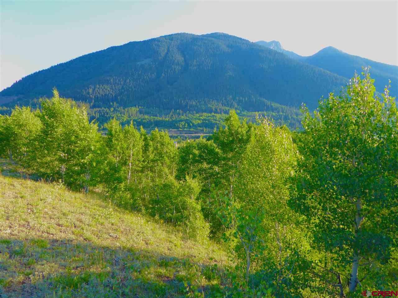 6 County Road Silverton, CO 81433 - Photo 13 of 22 a view of a back yard