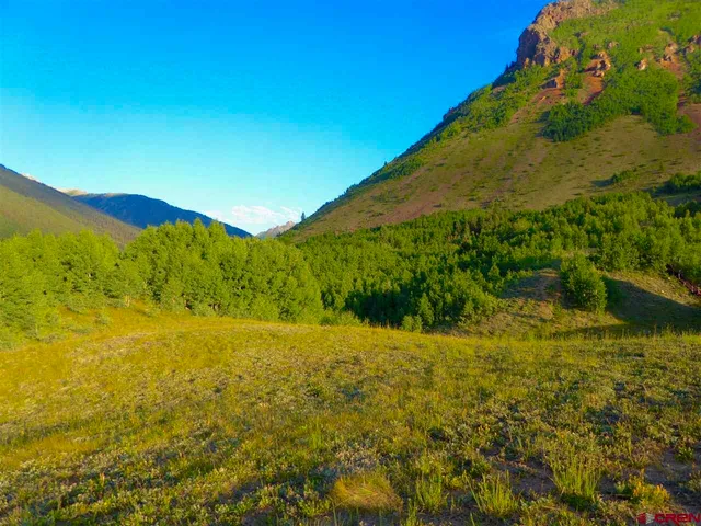 a view of an outdoor space and a yard