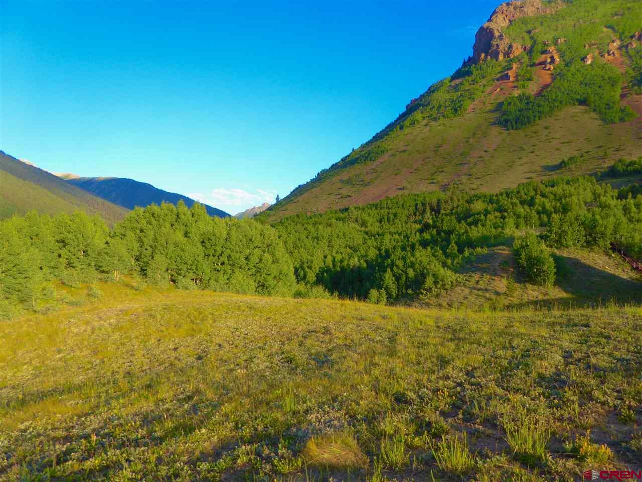 6 County Road Silverton, CO 81433 - Photo 15 of 22 a view of an outdoor space and a yard