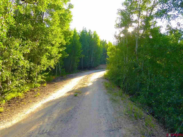 a view of a yard with plants and a trees