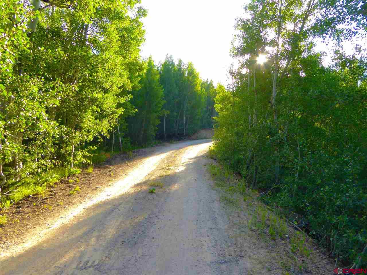 6 County Road Silverton, CO 81433 - Photo 16 of 22 a view of a yard with plants and a trees