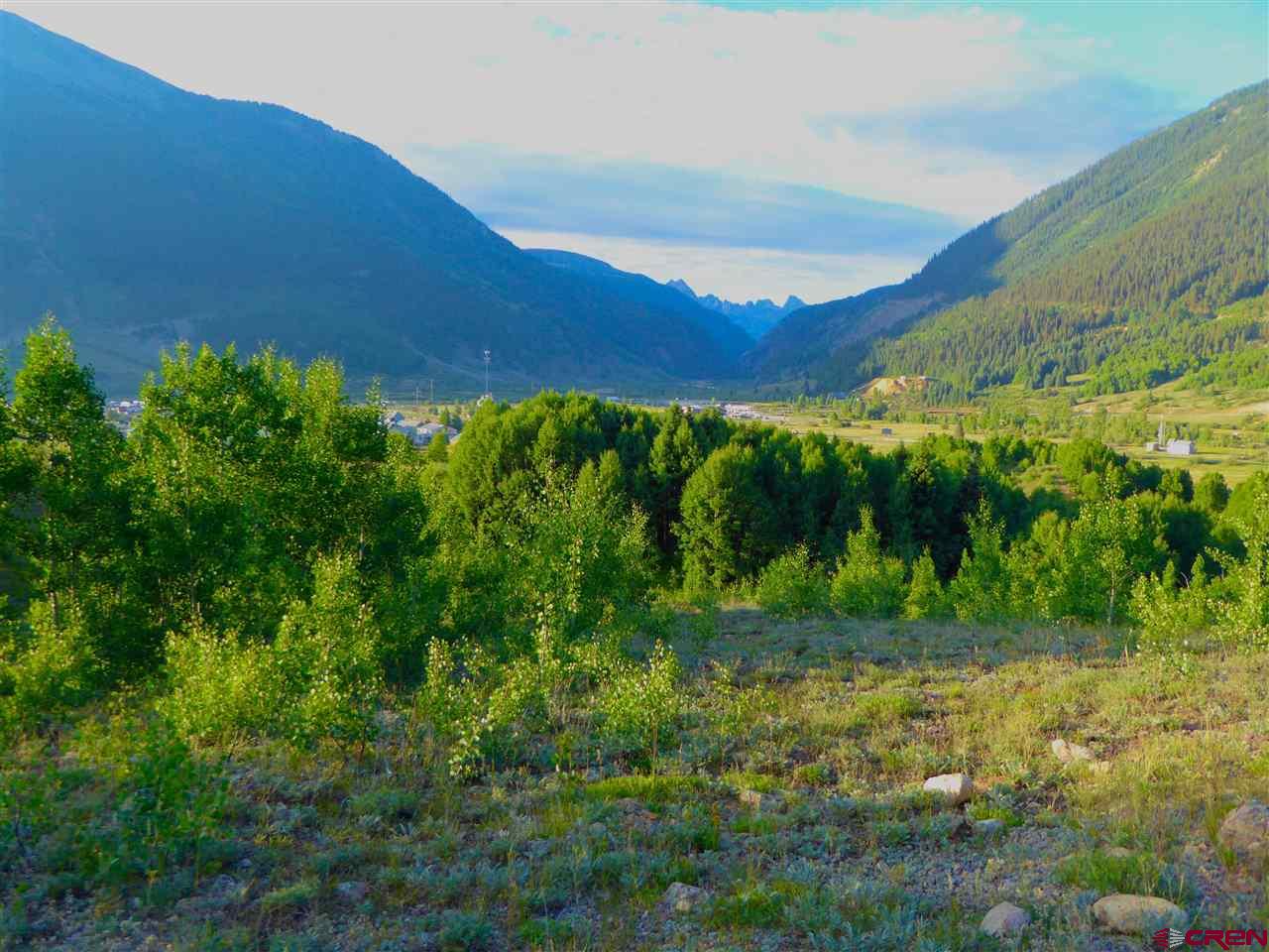 6 County Road Silverton, CO 81433 - Photo 17 of 22 a view of a yard with a garden