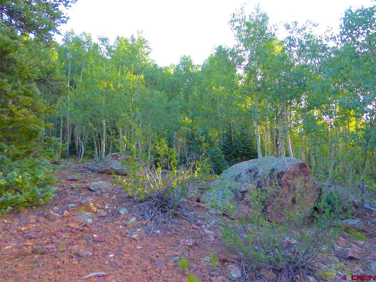 6 County Road Silverton, CO 81433 - Photo 18 of 22 a view of a back yard