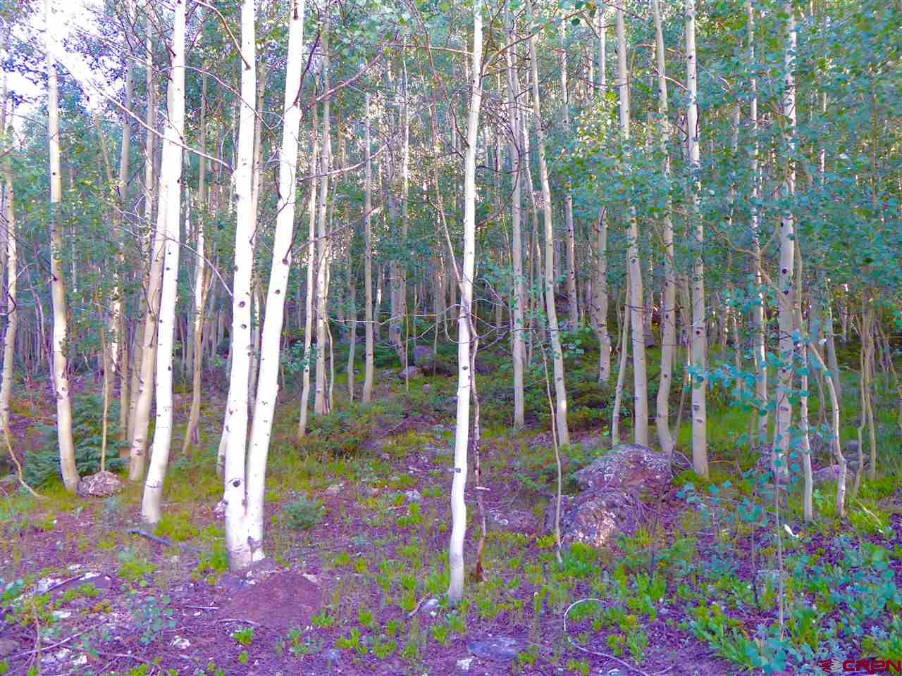6 County Road Silverton, CO 81433 - Photo 19 of 22 a view of a garden with plants and flowers