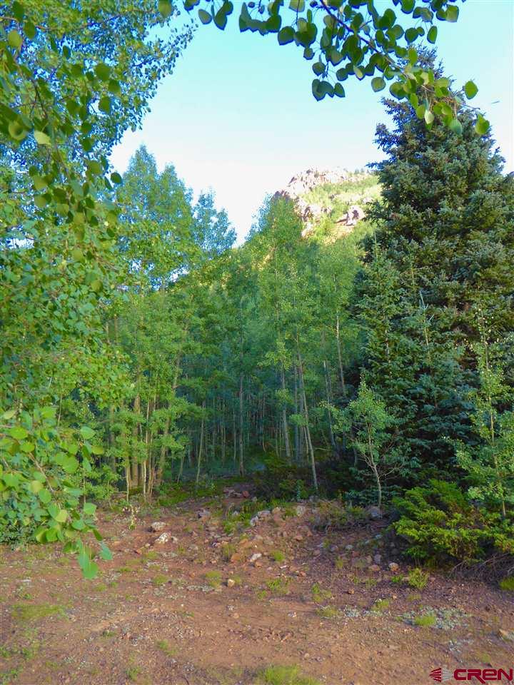6 County Road Silverton, CO 81433 - Photo 20 of 22 a view of a yard with a tree
