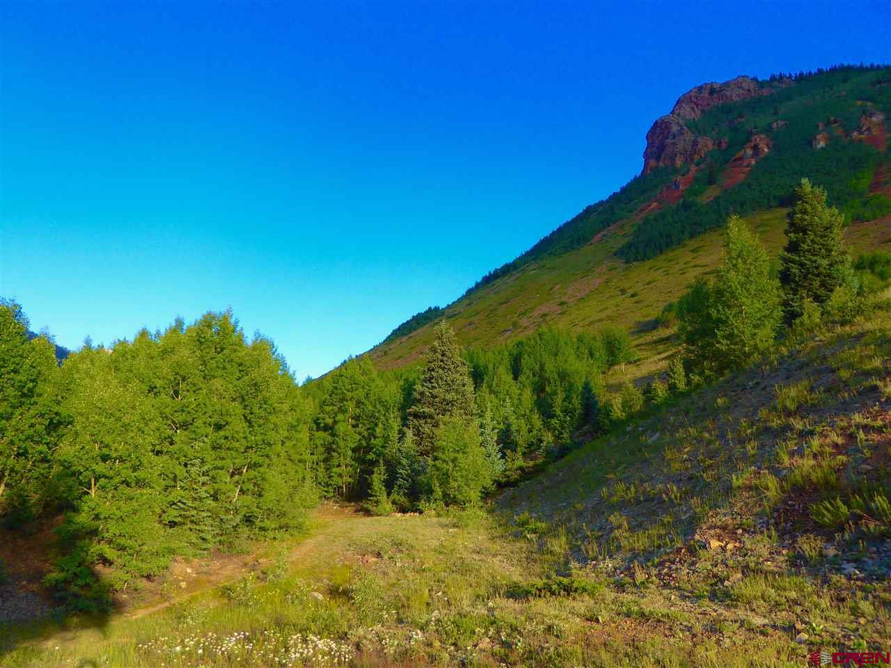 6 County Road Silverton, CO 81433 - Photo 21 of 22 a view of a garden