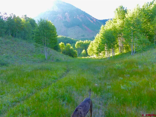a backyard of a house with lots of green space