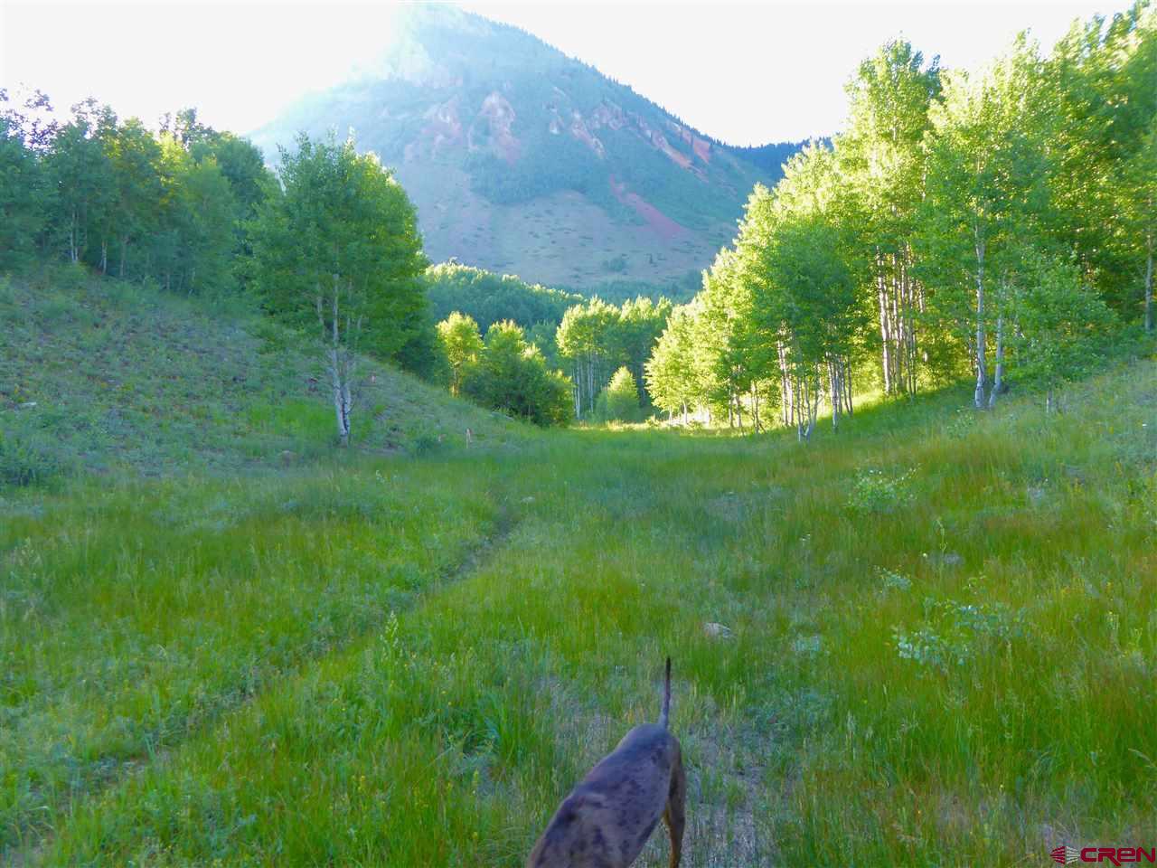 6 County Road Silverton, CO 81433 - Photo 4 of 22 a backyard of a house with lots of green space