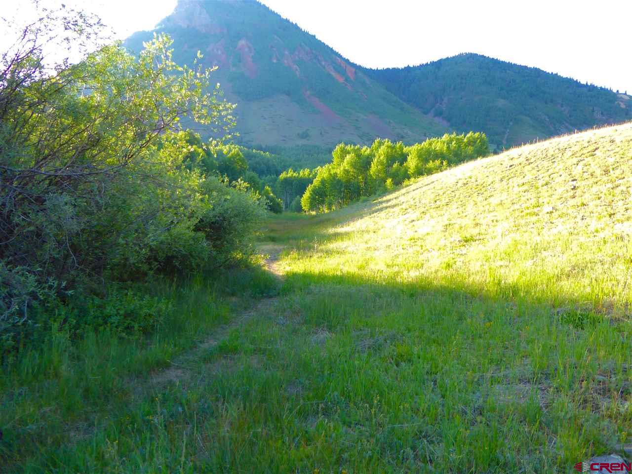6 County Road Silverton, CO 81433 - Photo 6 of 22 a view of a lush green field