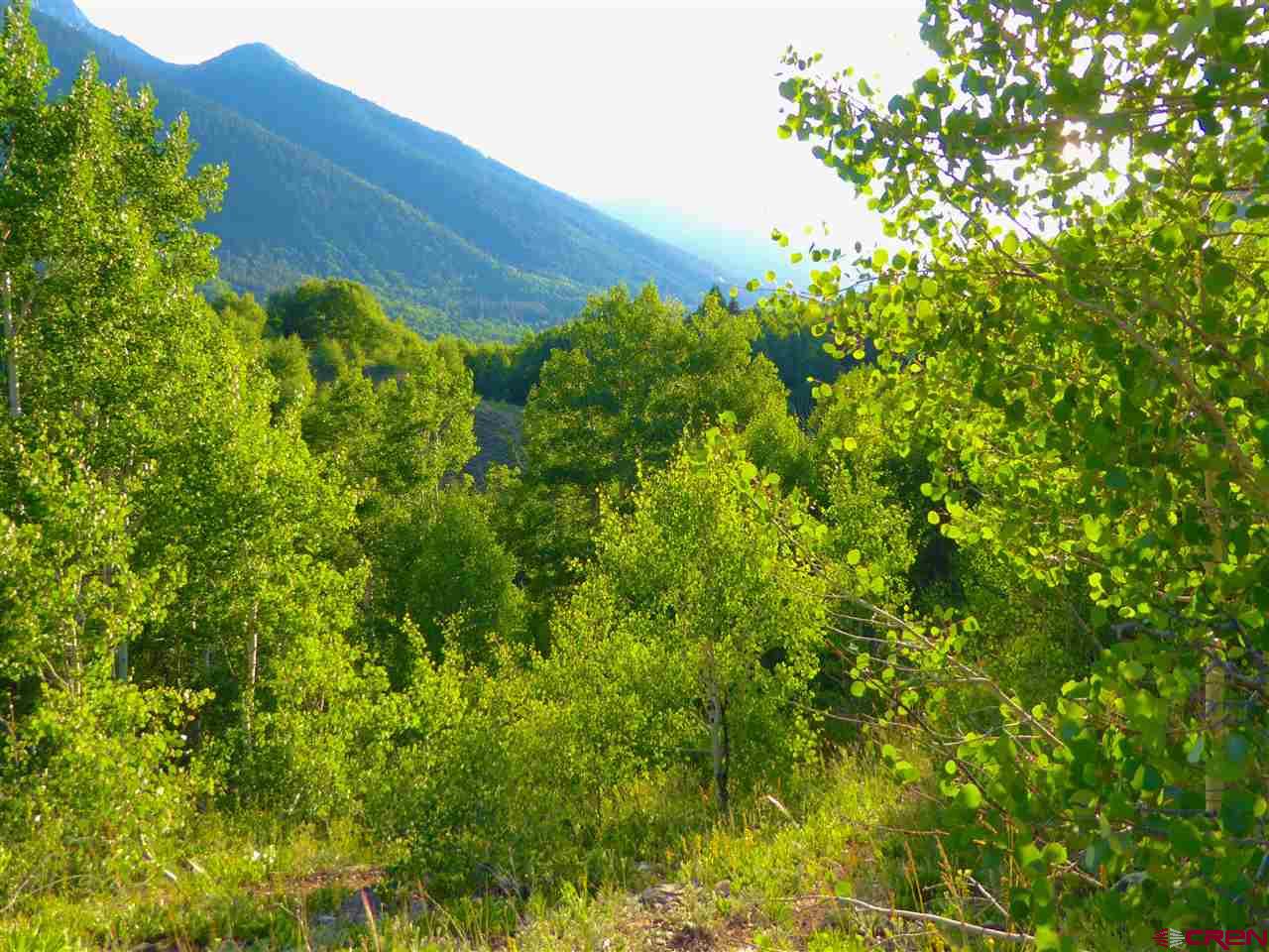 6 County Road Silverton, CO 81433 - Photo 7 of 22 a view of a garden