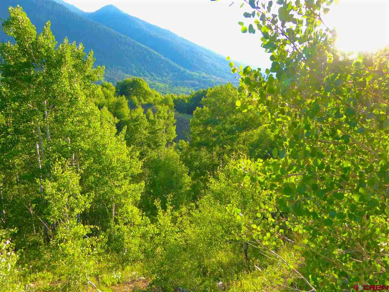 6 County Road Silverton, CO 81433 - Photo 8 of 22 a view of a plants