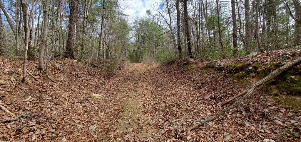 24.5-ac Alleghany Road Max Meadows, VA 24360 - Photo 11 of 38 Gallery Image 11