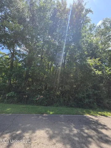 $9,500 | 227 East Sunnybrook Road, Carriere, MS 39426