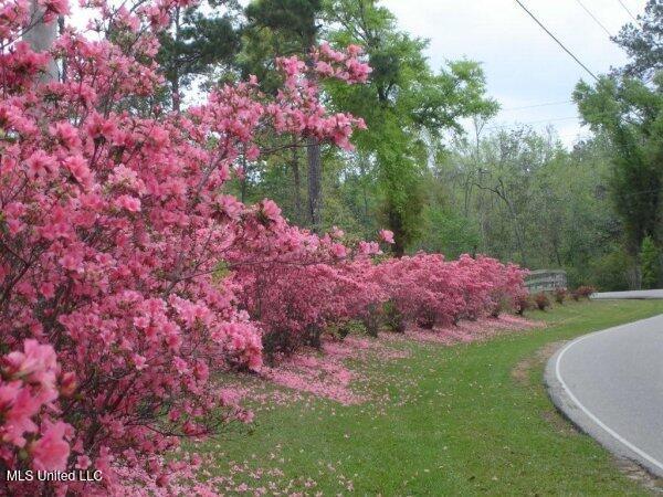227 East Sunnybrook Road Carriere, MS 39426 - Photo 5 of 25 Hide-A-Way_Entrance_012