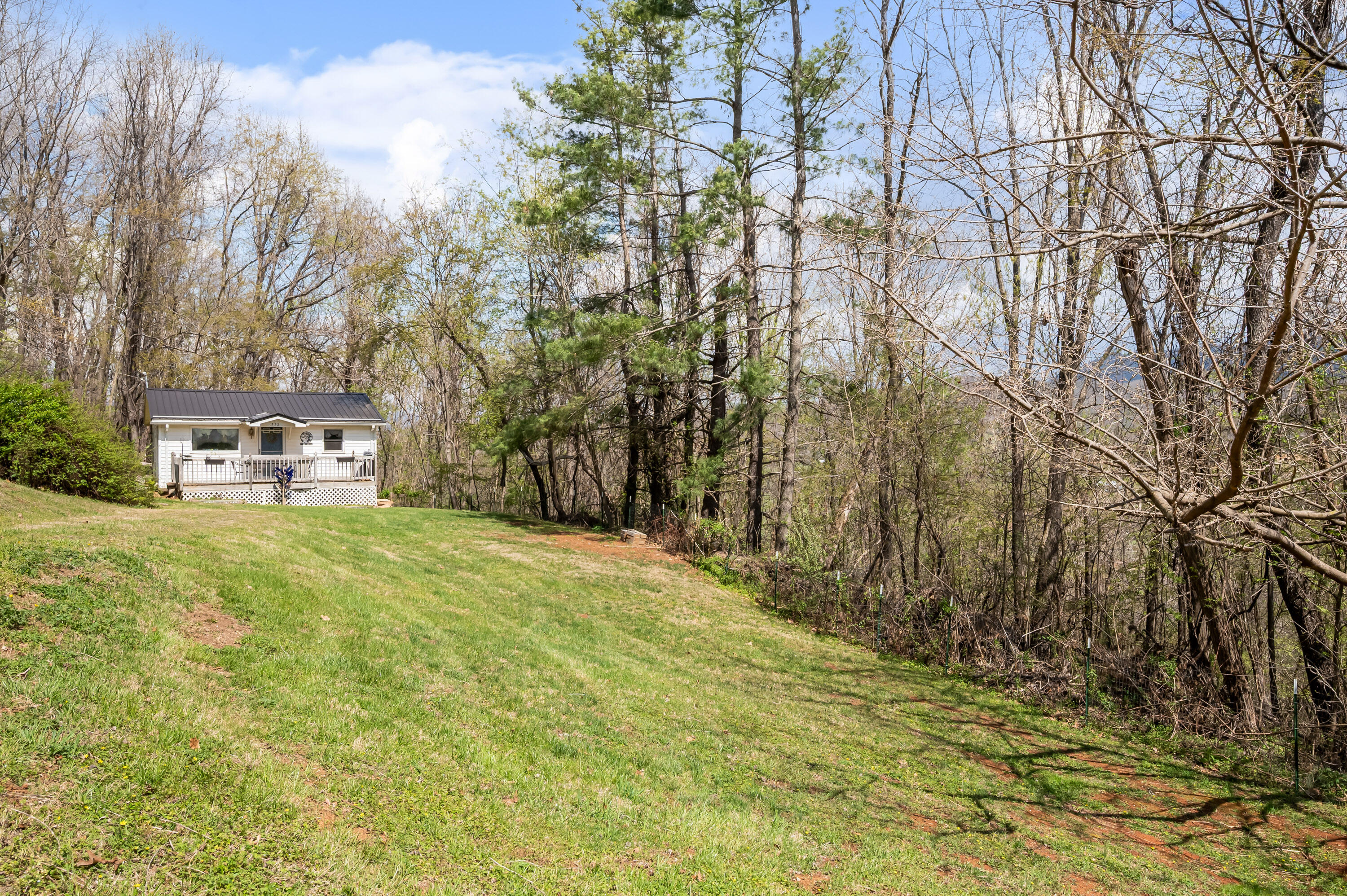 352 Blankenship Road Shawsville, VA 24162 - Photo 38 of 48 Shawsville-38