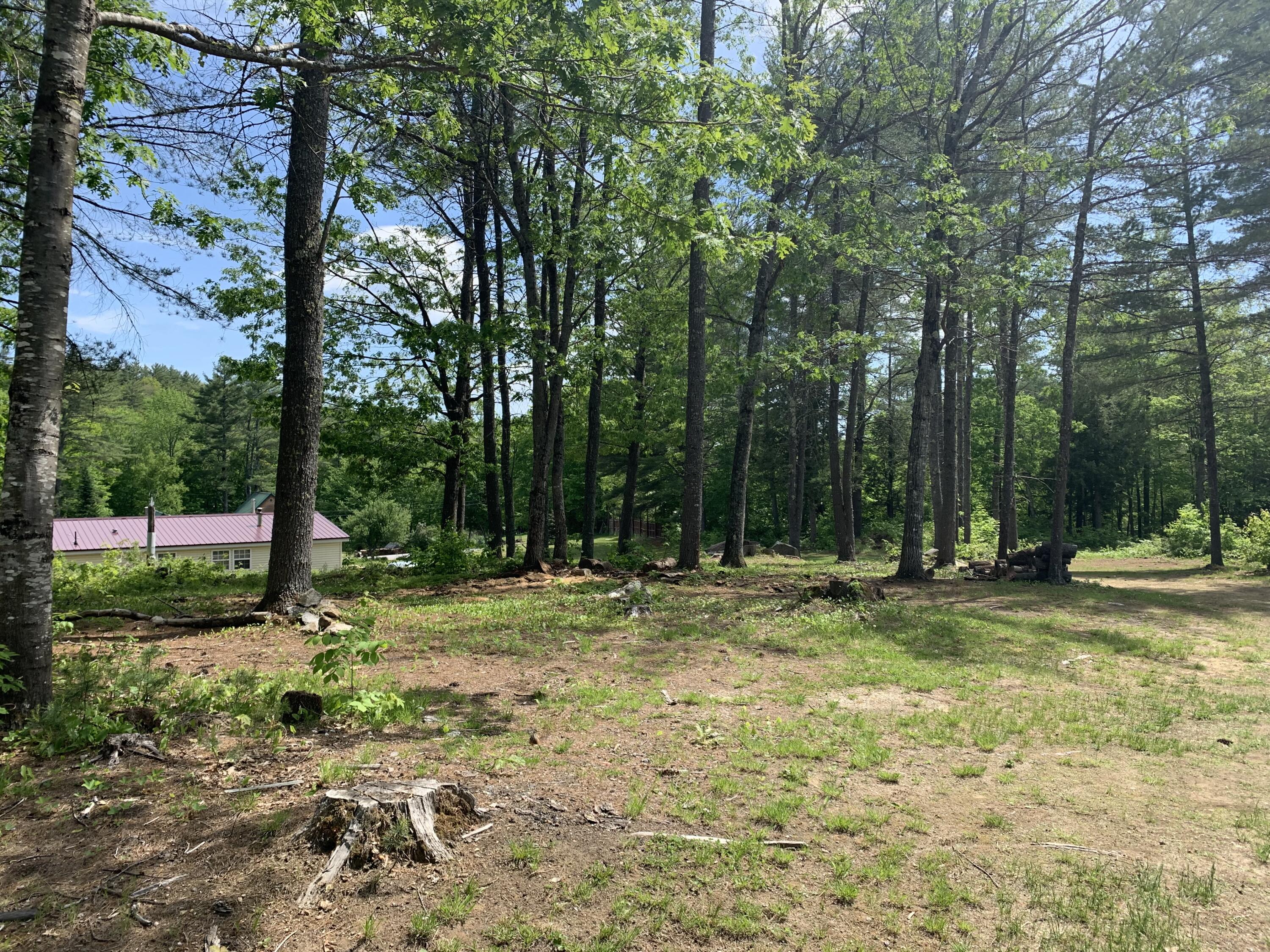 68 Slab City Road Lovell, ME 04051 - Photo 50 of 50 Mossy Pines