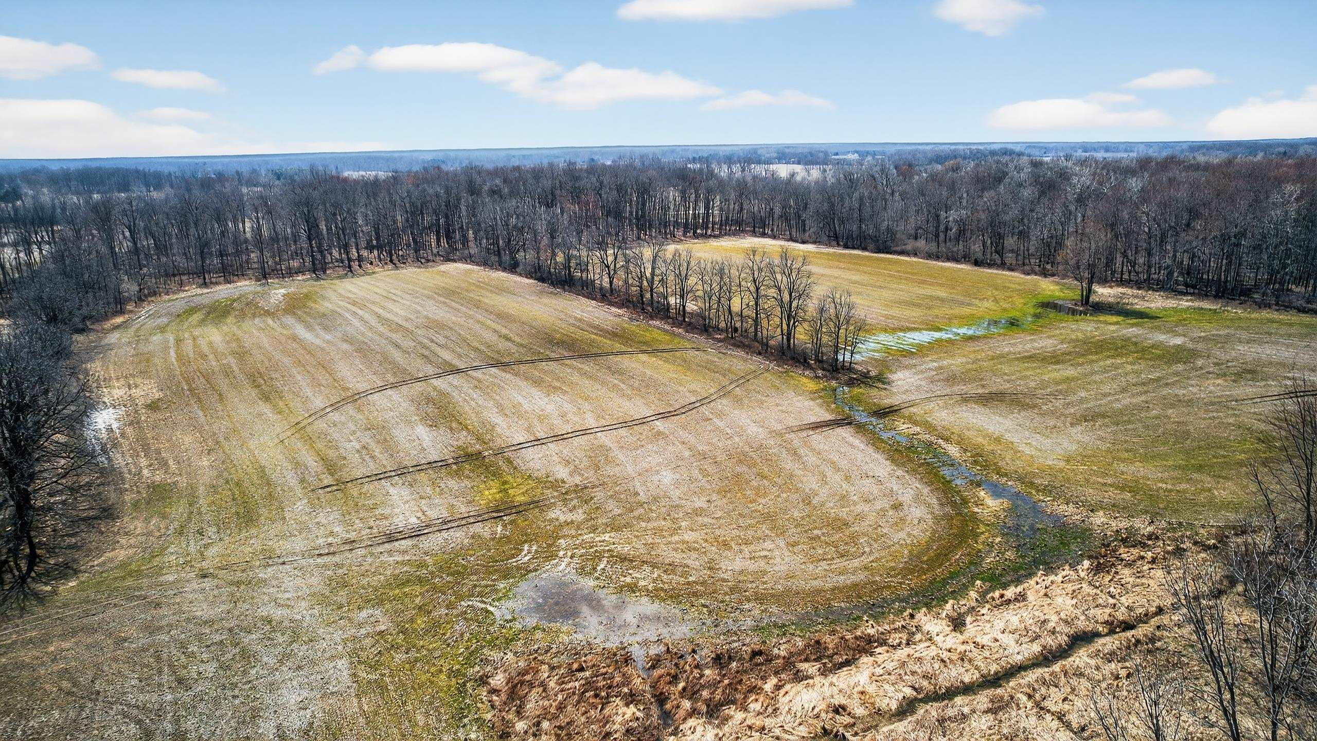 V/l South State Road Bancroft, MI 48414 - Photo 12 of 17
