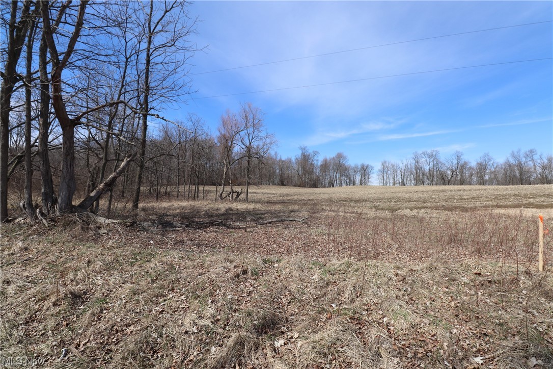 7 New Delaware Road Mount Vernon, OH 43050 - Photo 5 of 13 Gallery Image 5