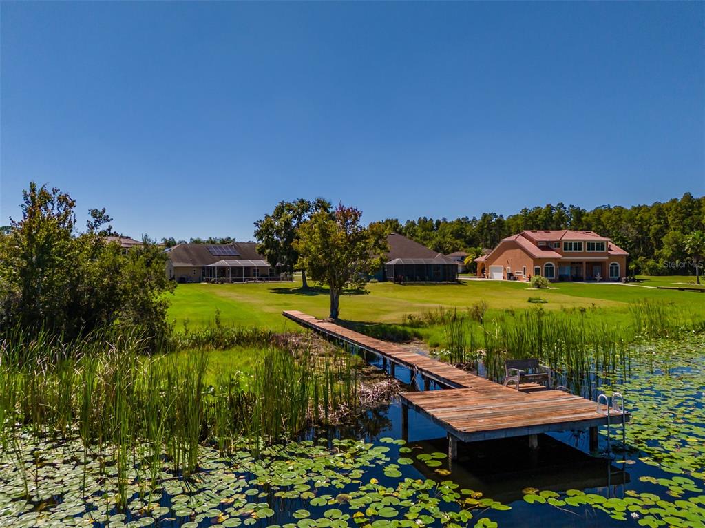 2327 Camp Indianhead Road Land O' Lakes, FL 34639 - Photo 66 of 90