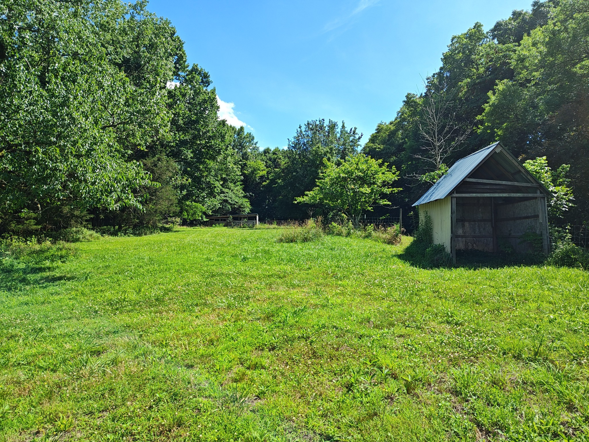 2770 Beech Log Road Watertown, TN 37184 - Photo 58 of 87 a view of a backyard with garden