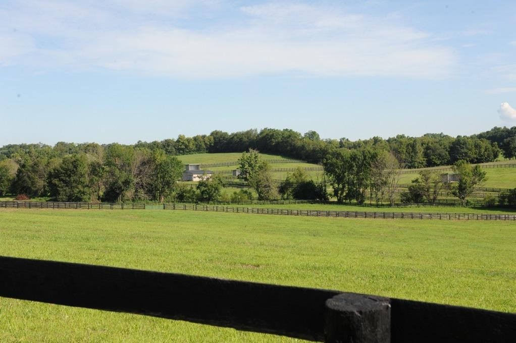 963 Cynthiana Road Paris, KY 40361 - Photo 2 of 21 Photo 2