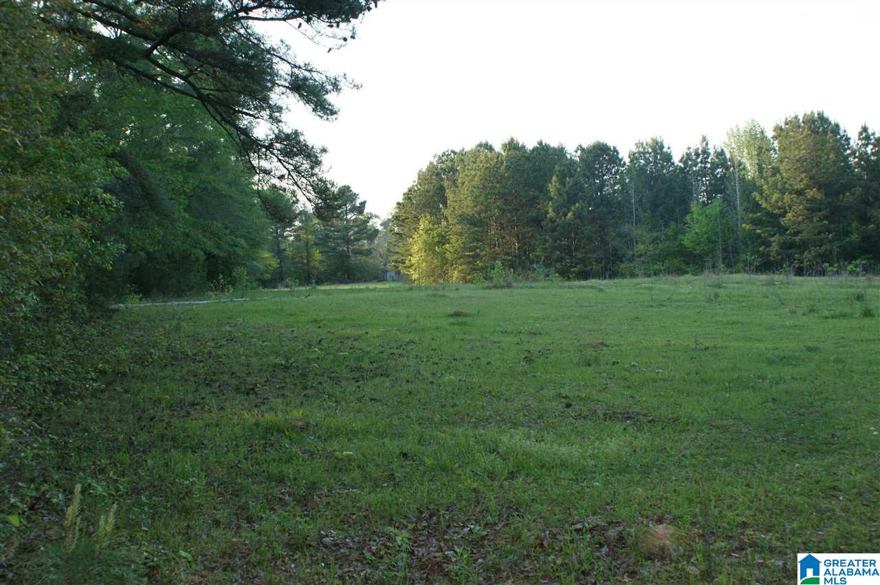 15 County Road, Unit 12791 Maplesville, AL 36750 - Photo 5 of 10