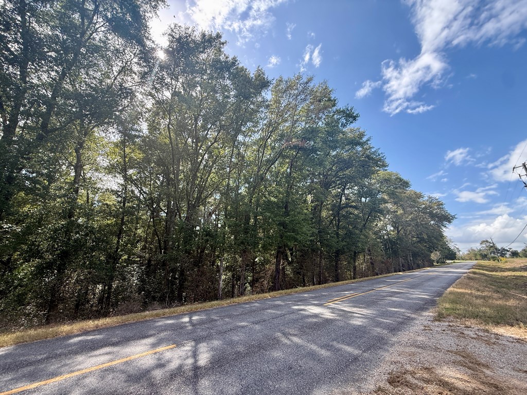 0 JB Chapman Road Midland City, AL 36350 - Photo 3 of 9