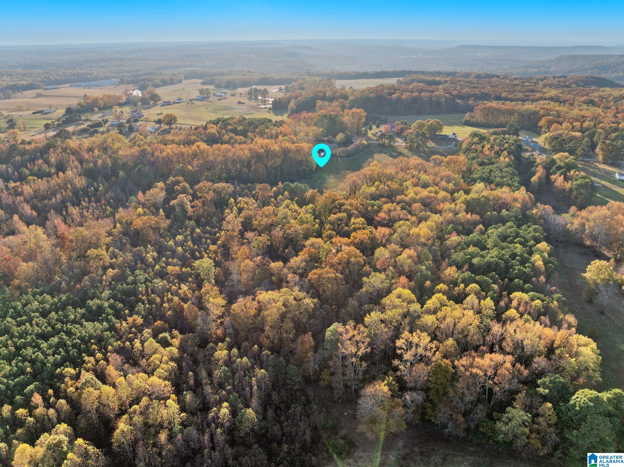 2986 Eva Road Eva, AL 35621 - Photo 12 of 32