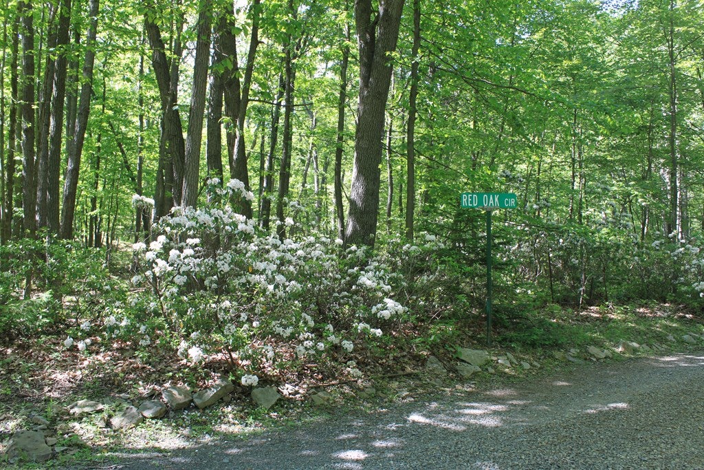 14636 Red Maple Circle Huntingdon, PA 16652 - Photo 20 of 25 Gallery Image 20