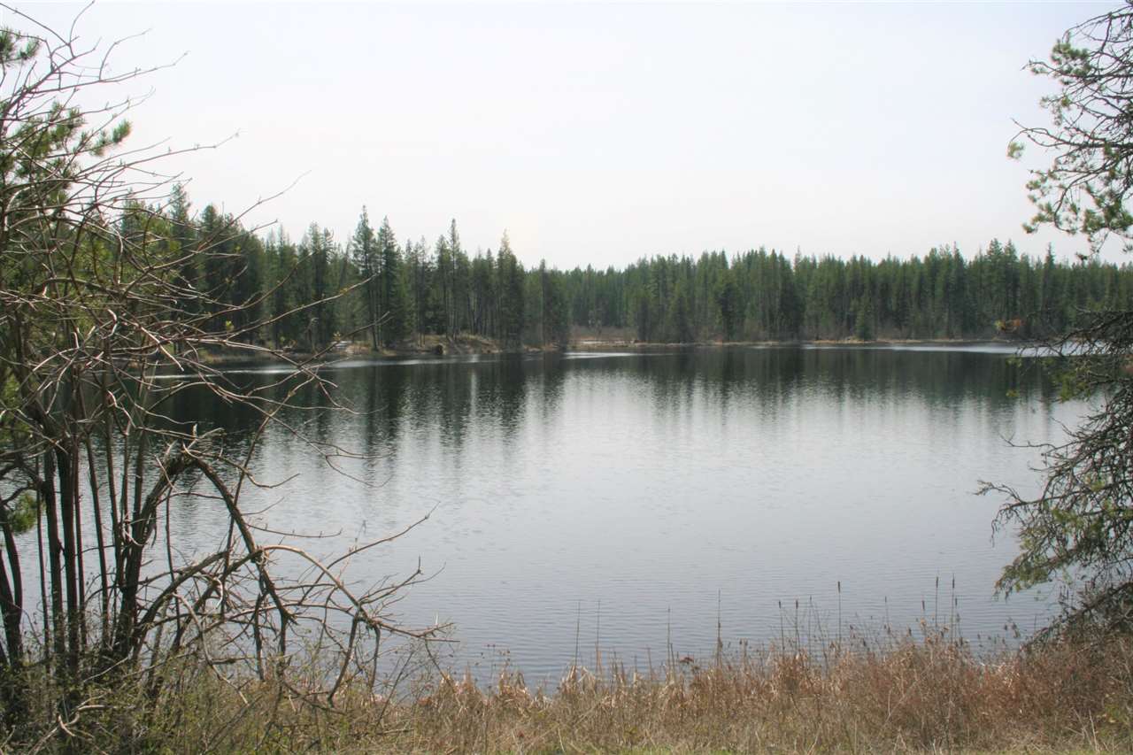 11 Shale Road Newport, WA 99156 - Photo 19 of 20