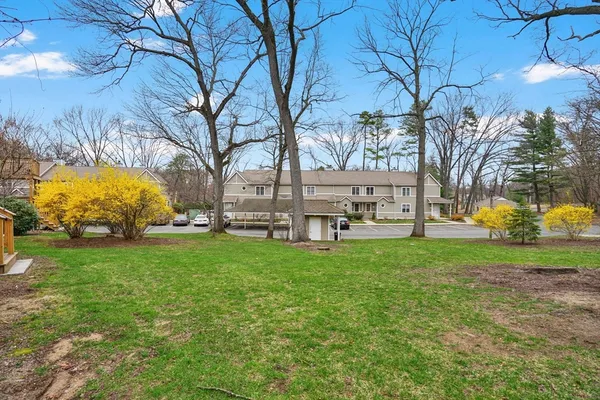 a view of backyard with tree